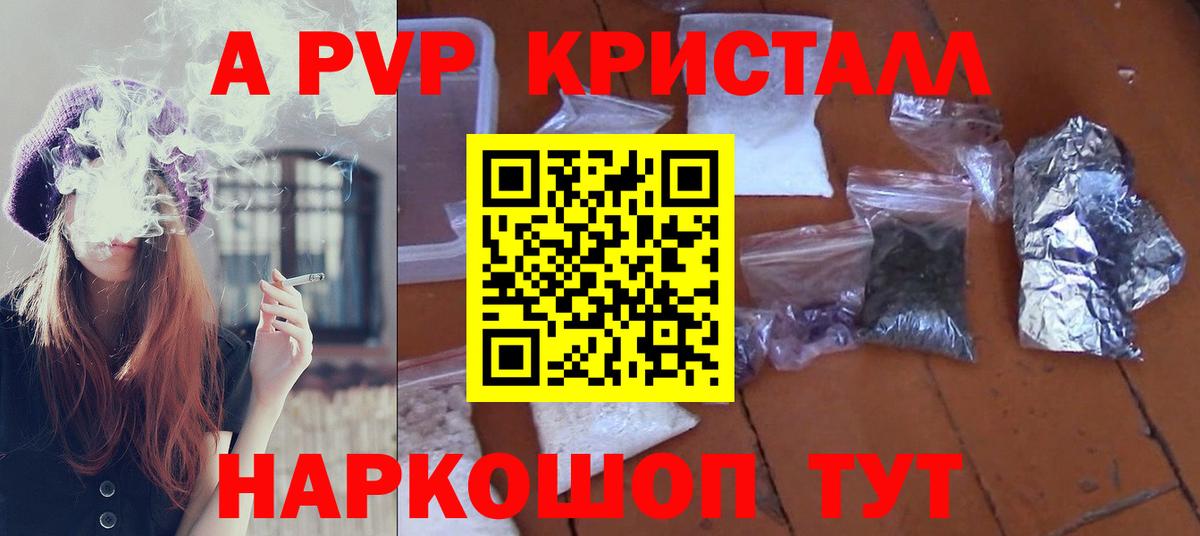 A PVP СК КРИС Гагарин