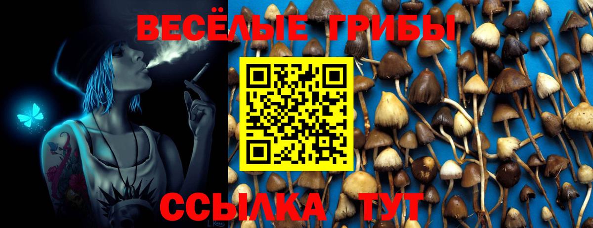 Галлюциногенные грибы MAGIC MUSHROOMS  Вход с VPN  Гагарин 